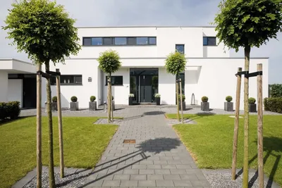 Más Ideas e Inspiración - 3