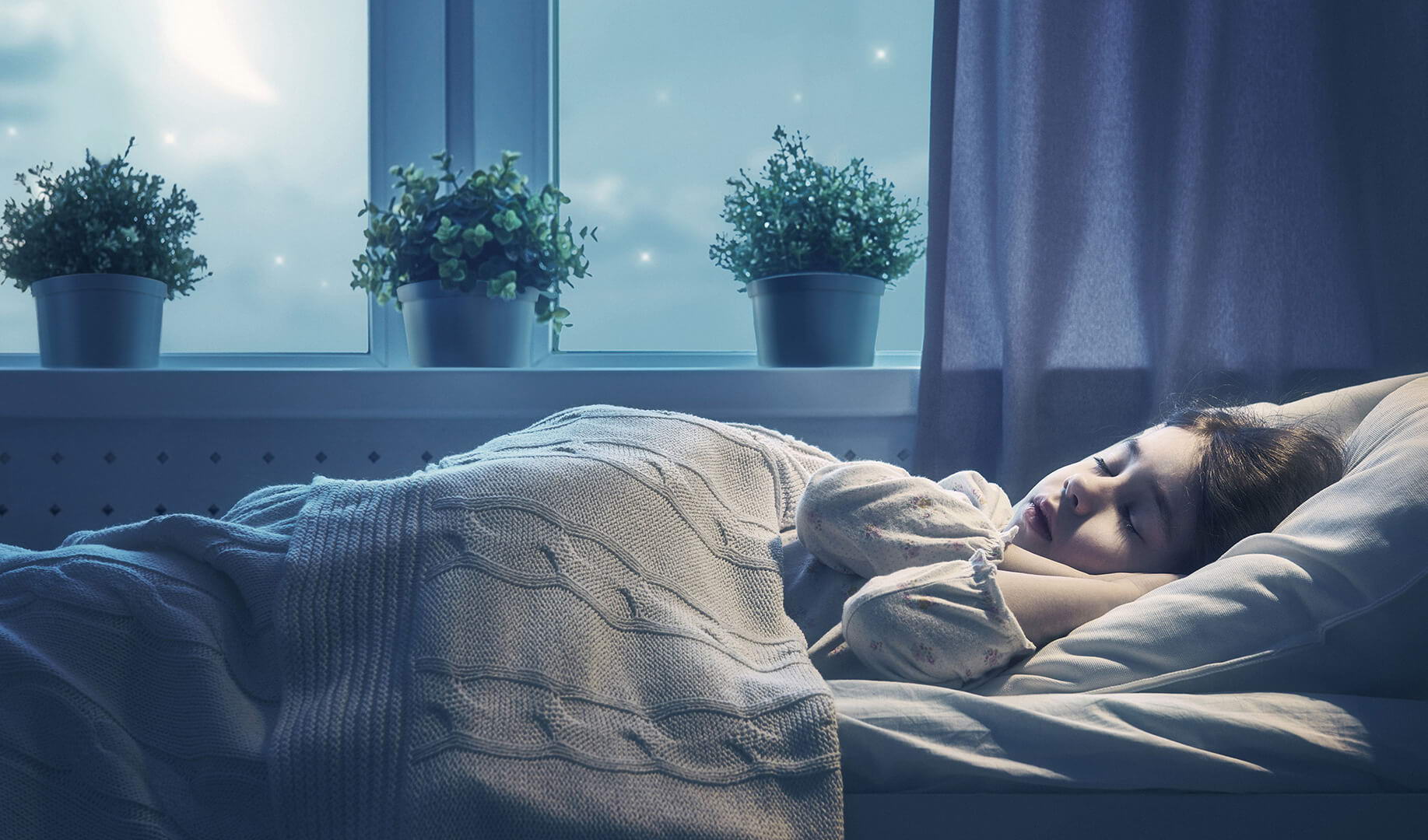 WDS 8S window sound insulation